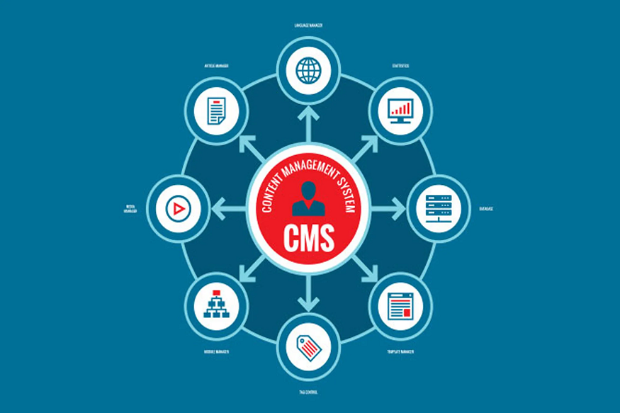 CMS for media company